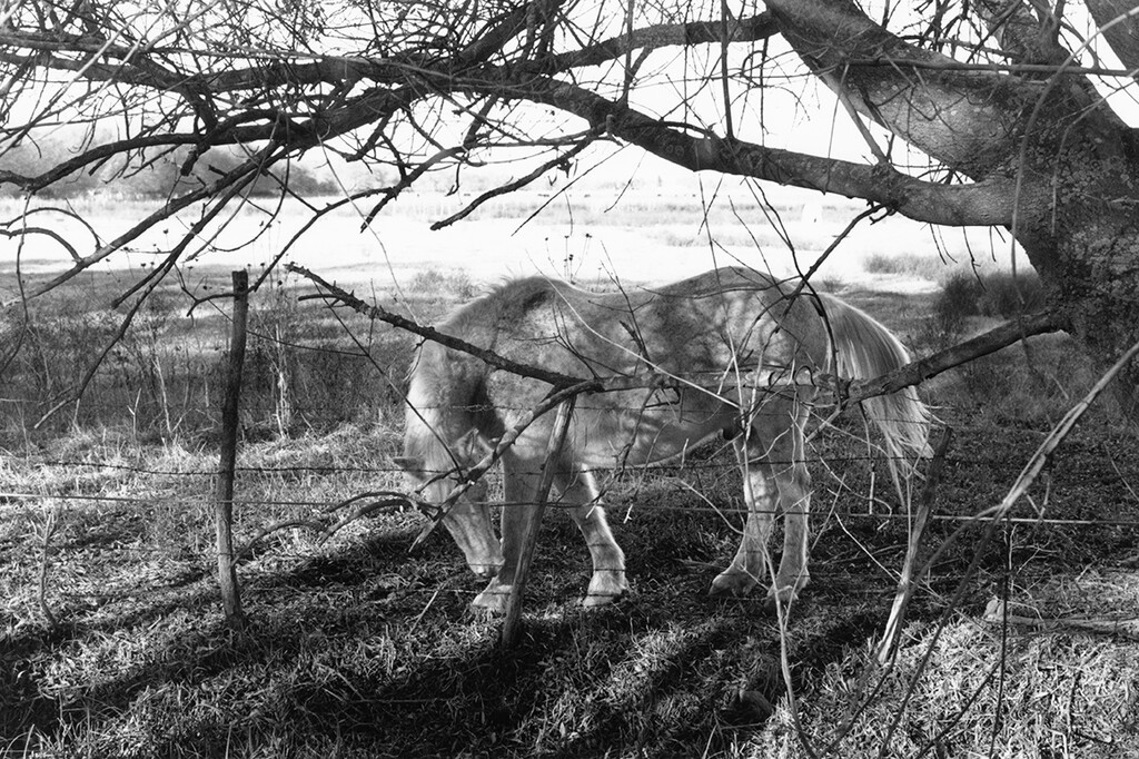 Home - © Alassan Diawara