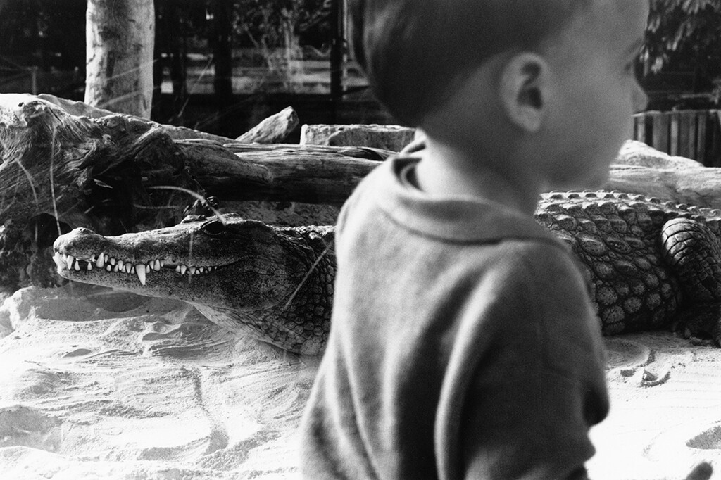 Home - © Alassan Diawara