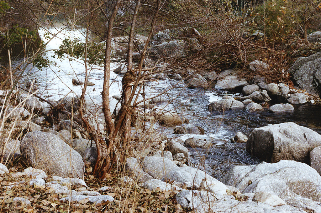 Home - © Alassan Diawara