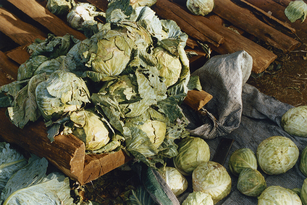 Home - © Alassan Diawara